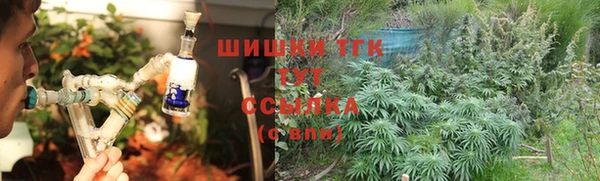 круглые Туринск