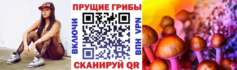 Галлюциногенные грибы ЛСД  OMG ссылка  Находка 