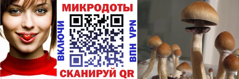 Галлюциногенные грибы GOLDEN TEACHER Находка