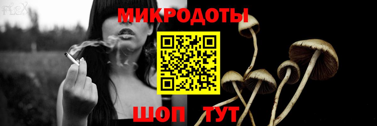 Находка  Псилоцибиновые грибы GOLDEN TEACHER  Вход с VPN 